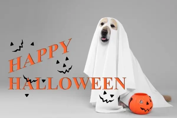 Happy Halloween from Guaranteed Rate, Inc